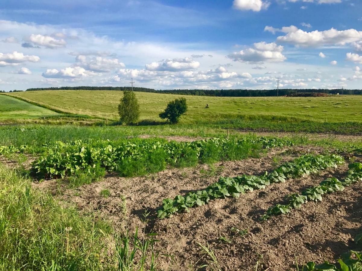 Agroturystyka Nad Jeziorem Silickim Ilinscy Silice Экстерьер фото